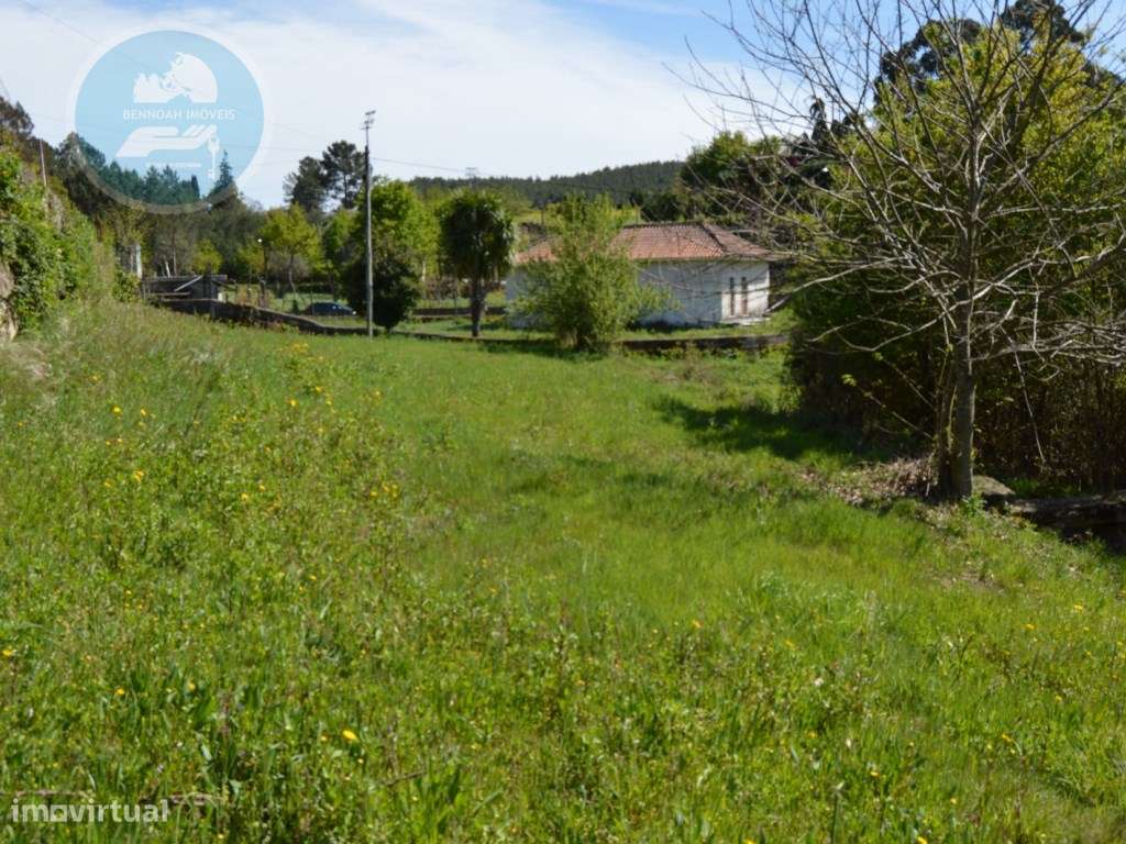 Terreno à venda- Cruz do Muro, Cabeceiras de Basto-18