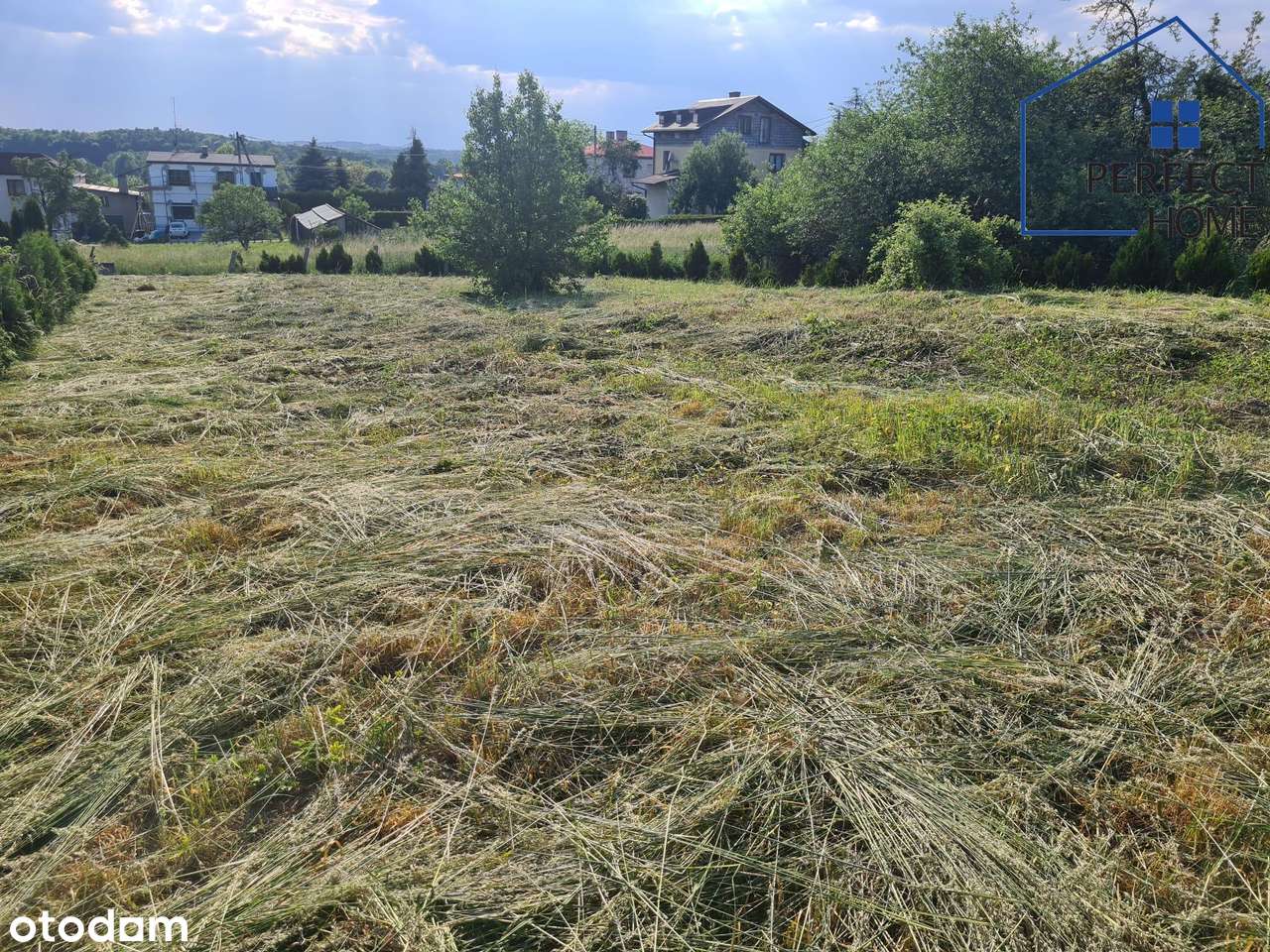 Piękna działka w Czernicy spokojna okolica - Pełny obrazek: 4/7
