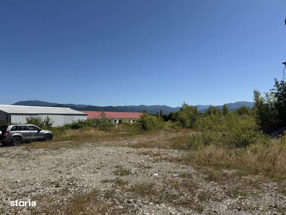 Teren 32.000 mp, oportunitate investitie case/hale Grosi Baia Mare - Imagine principală: 3/4
