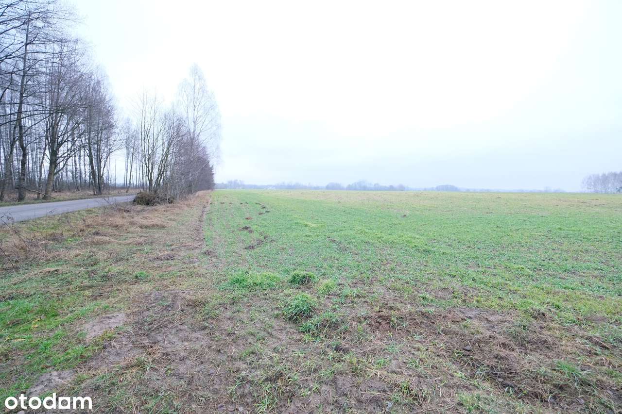 *5,4 ha przy lesie - podzielone na działki - inwestycja*-1