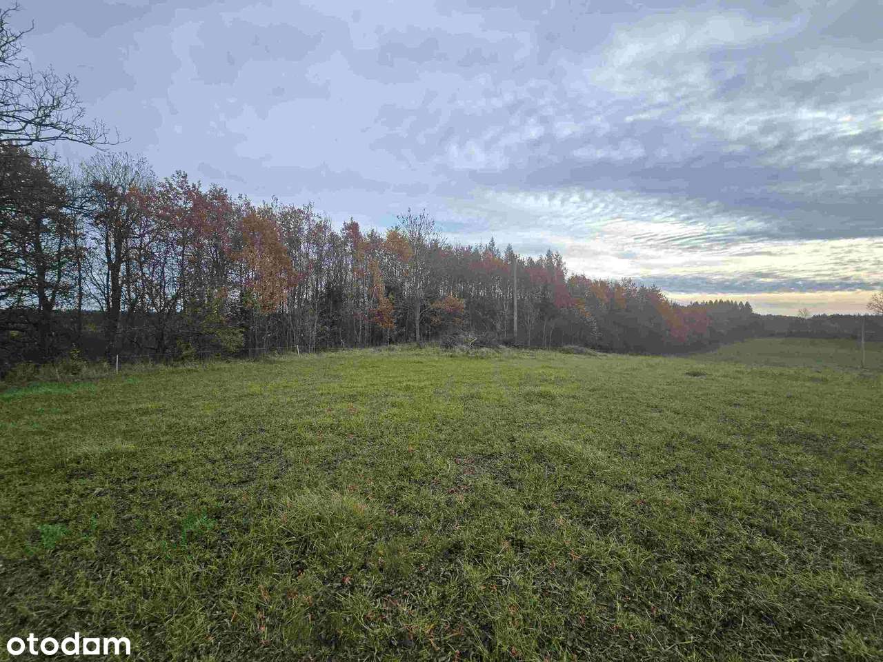 Grunt pod działki rekreacyjne. - Pełny obrazek: 4/8