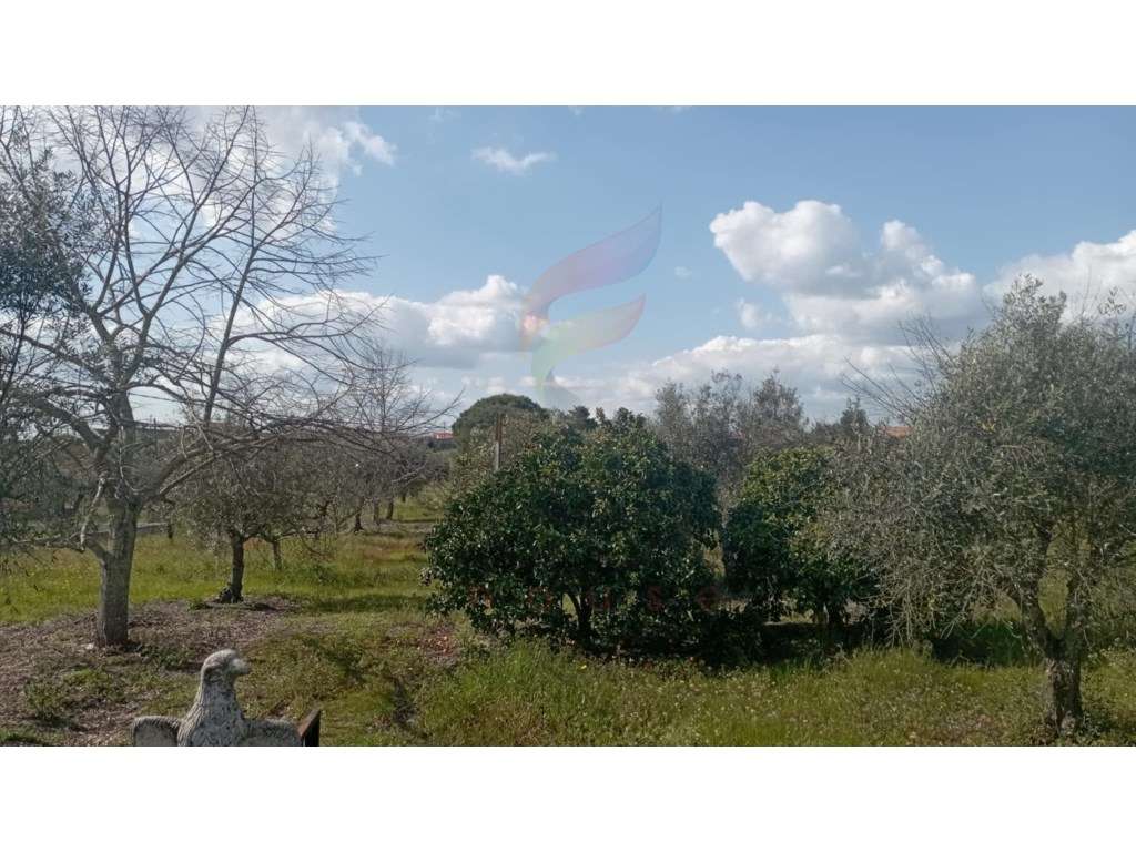 Terreno para construção - Grande imagem: 3/16