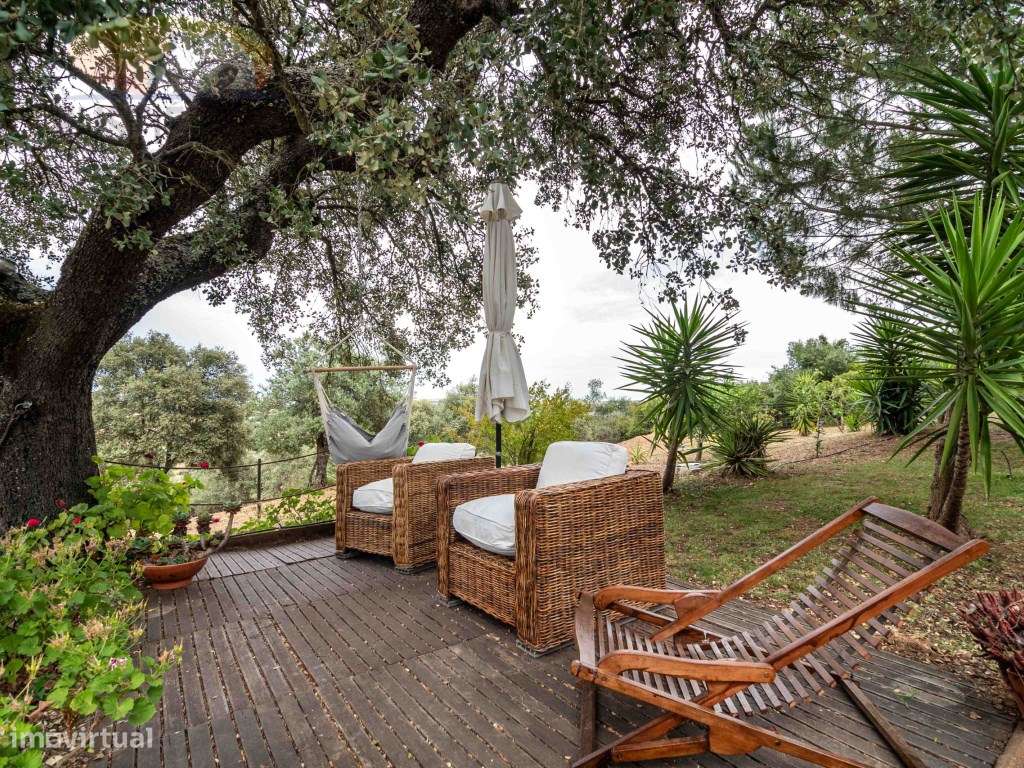 Quinta com 16 ha, com 4 Moradias Unifamiliares, piscina e várias ár...-56