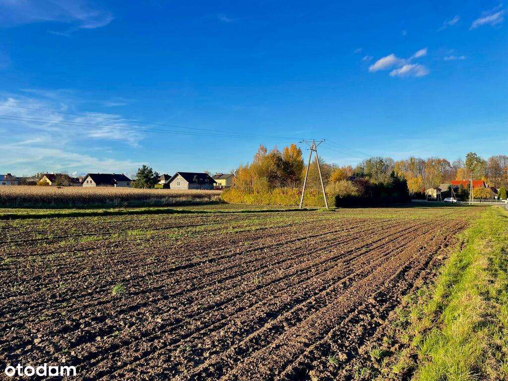 Przestronna,  26 arowa  działka budowlana w Osieku-1