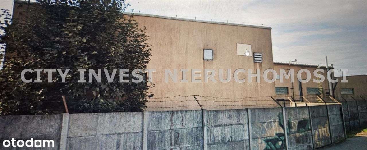 Lokal użytkowy, 2 100 m², Opalenica-2