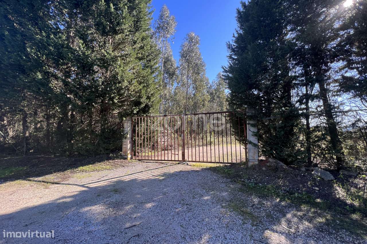 Terreno com 7550m2 em Antanhol - Grande imagem: 2/16