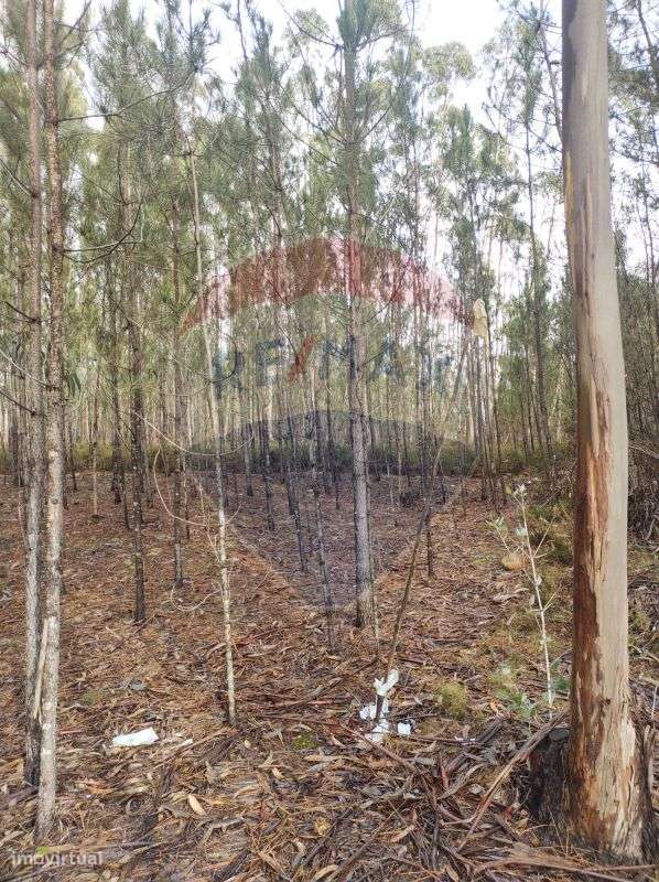 Terreno  para venda - Grande imagem: 5/7