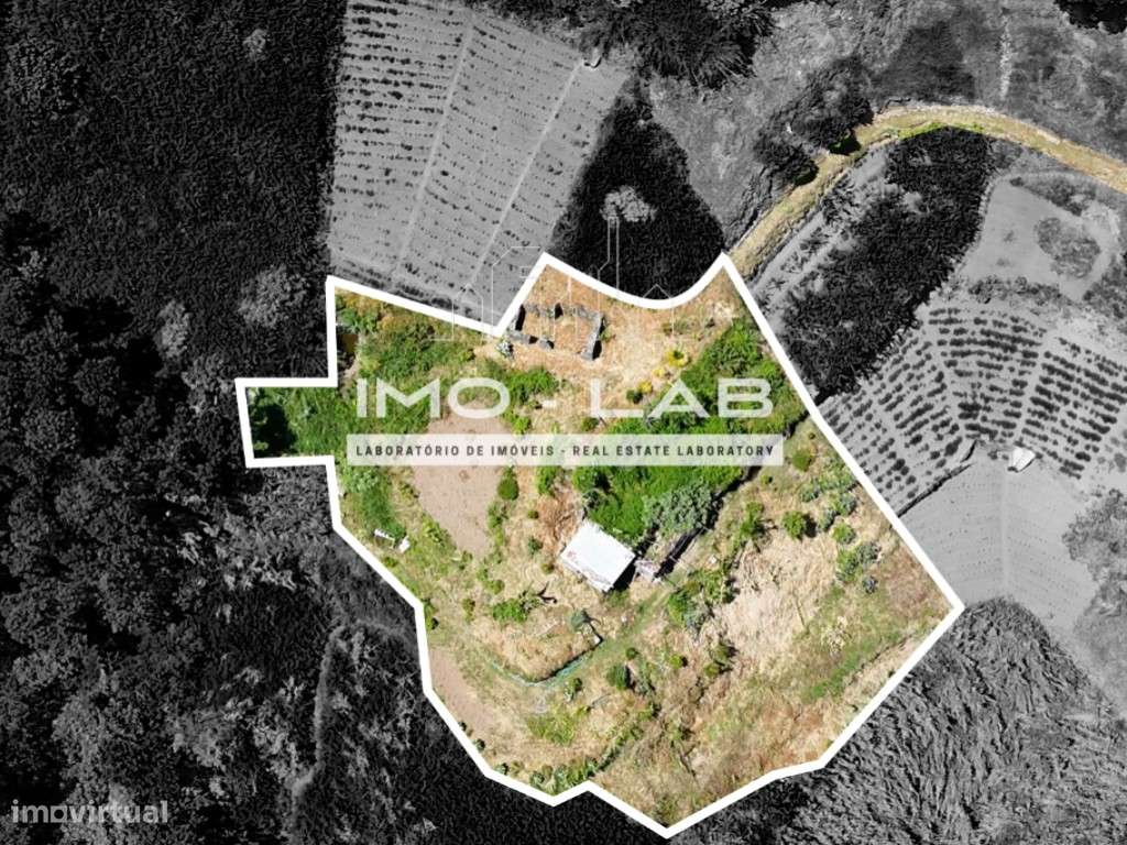 Terreno com 1615m2 - Vista Mar - Câmara de Lobos - Grande imagem: 2/16