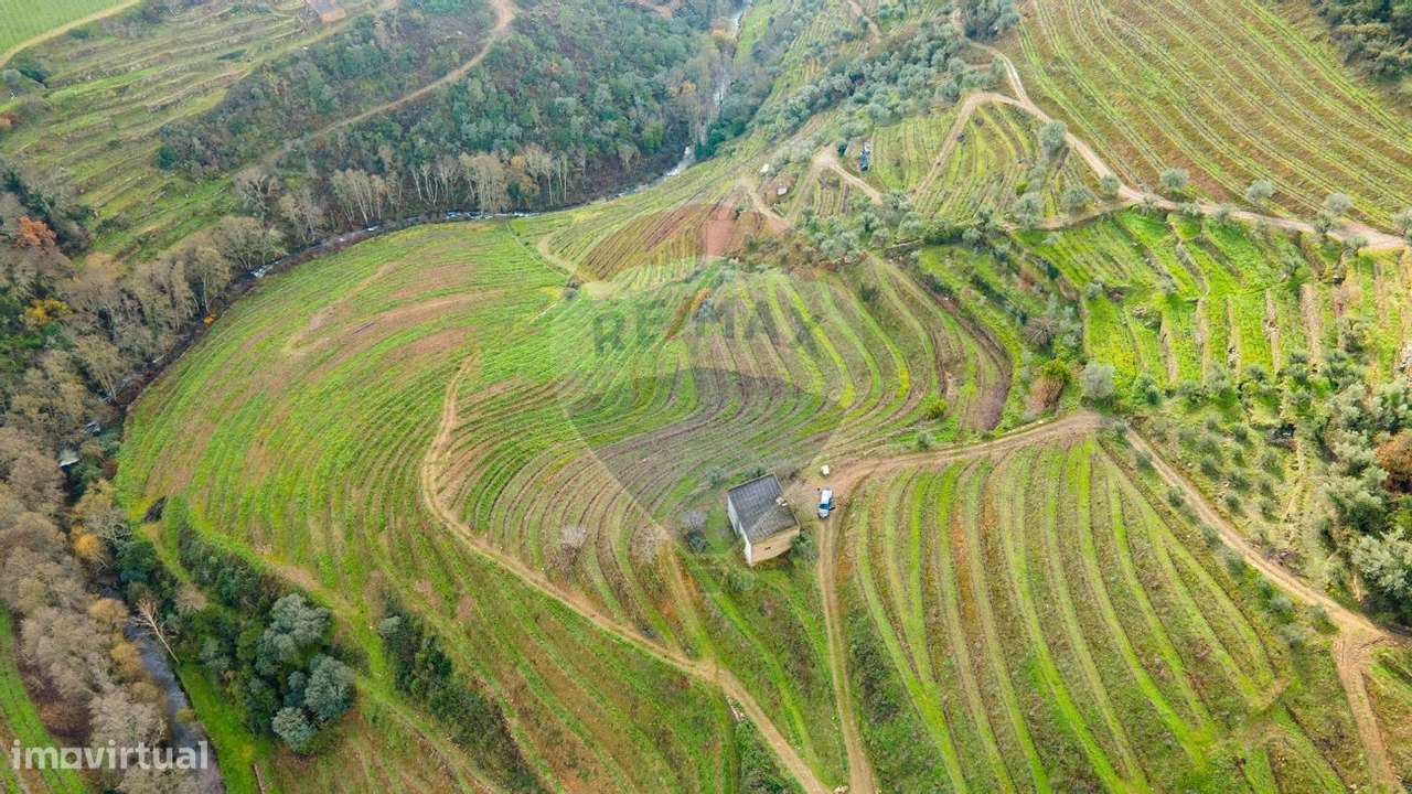 Quinta  para venda - Grande imagem: 4/11