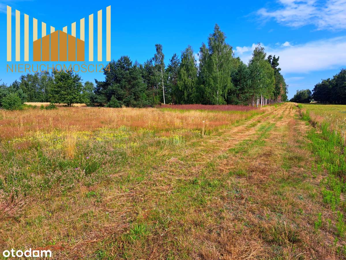 Działki 1 km. od Pkp Mrozy ! - Pełny obrazek: 5/10