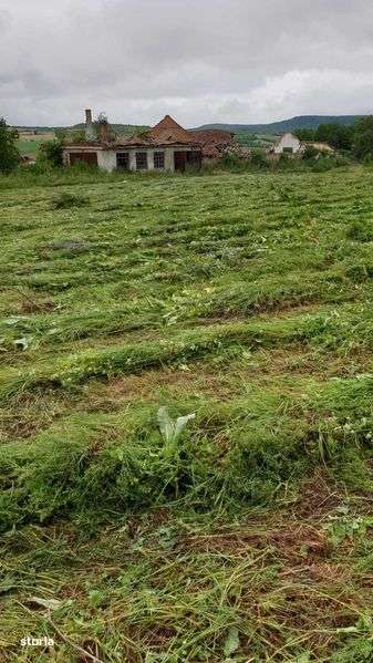 Teren de vanzare intravilan situat in Saschiz la drumul E60,5,5 € mp. - Imagine principală: 4/7