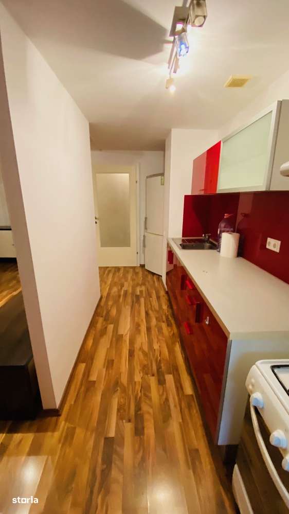 Lacul Tei - Inginerilor-15