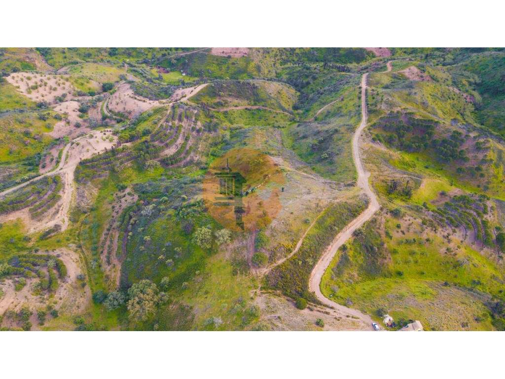 Terreno Rústico - 11840m2 - Cortelha - Azinhal - Castro Marim - Grande imagem: 4/10