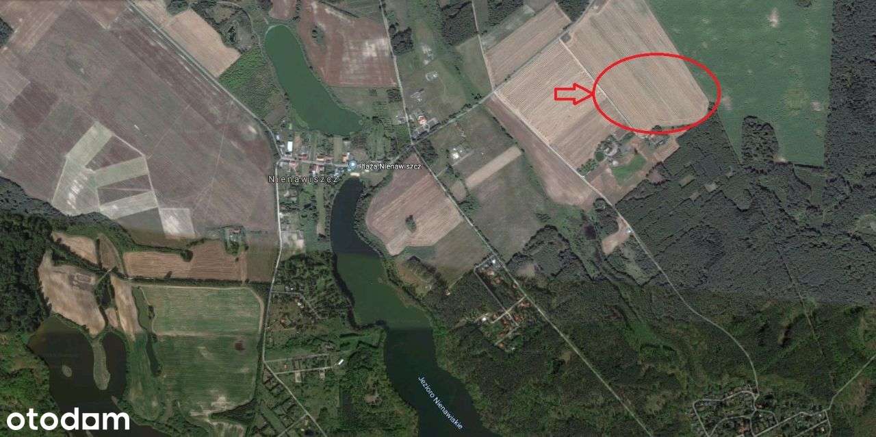 Ładne działki, las, jezioro-Nienawiszcz-PROMOCJA!!-2