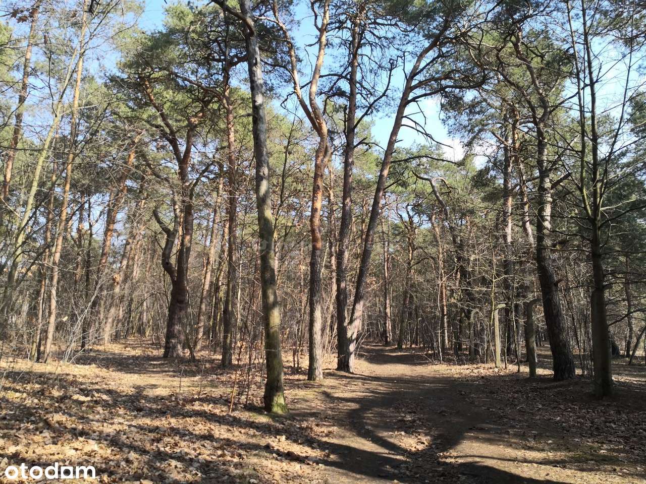 Działka na sprzedaż, Warszawa - Pełny obrazek: 5/9