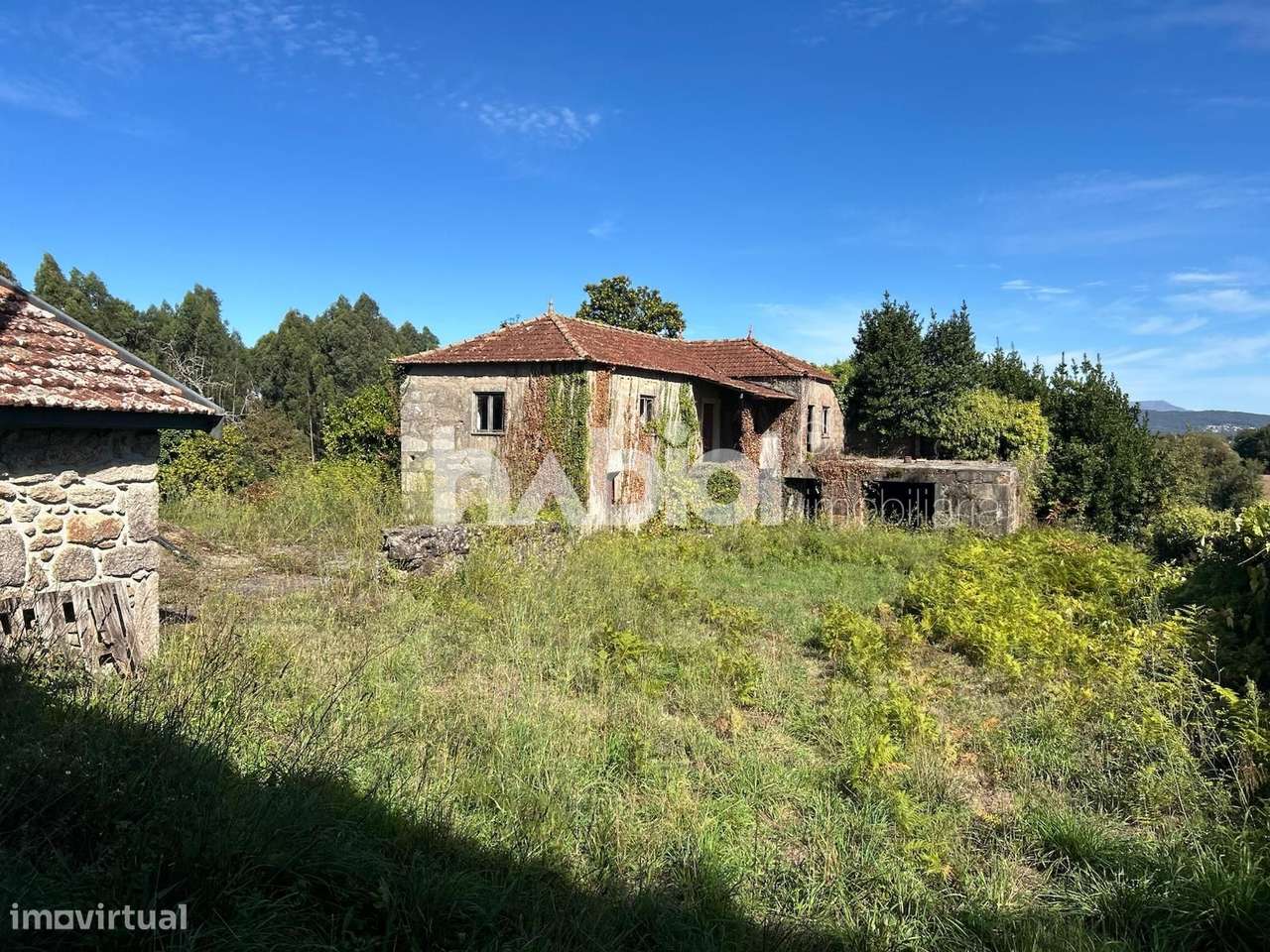 Quinta em Forjães, moradia com 3 quartos e terreno com 10.000m2 - Grande imagem: 5/11