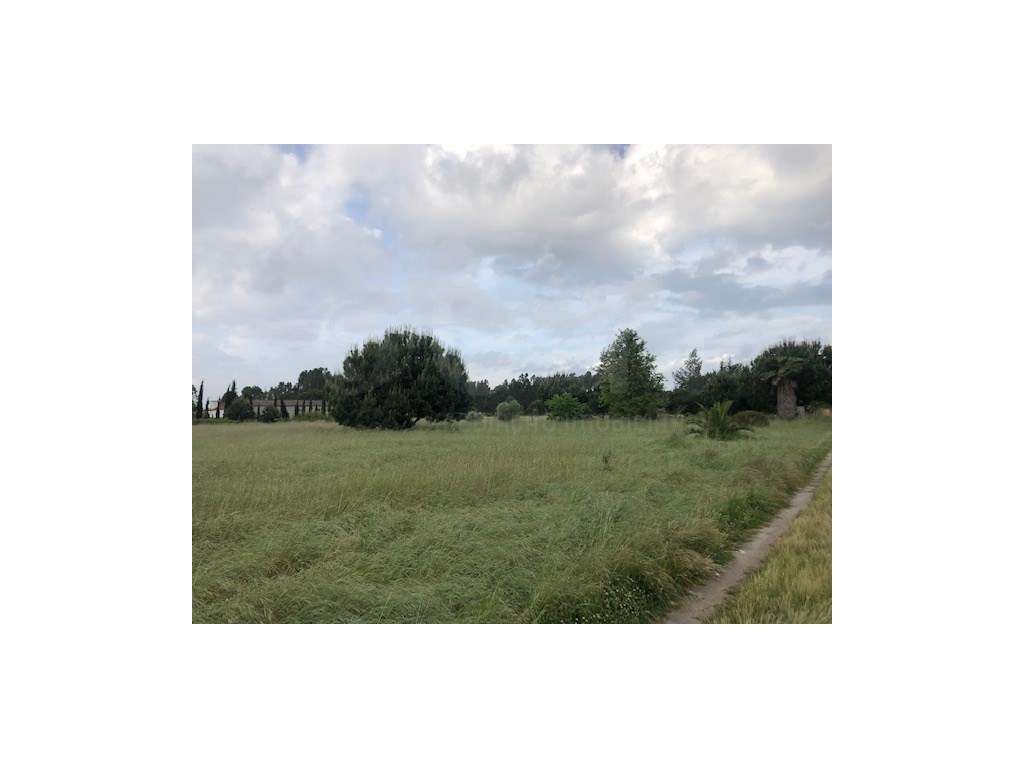 Terreno Benavente - Grande imagem: 2/16