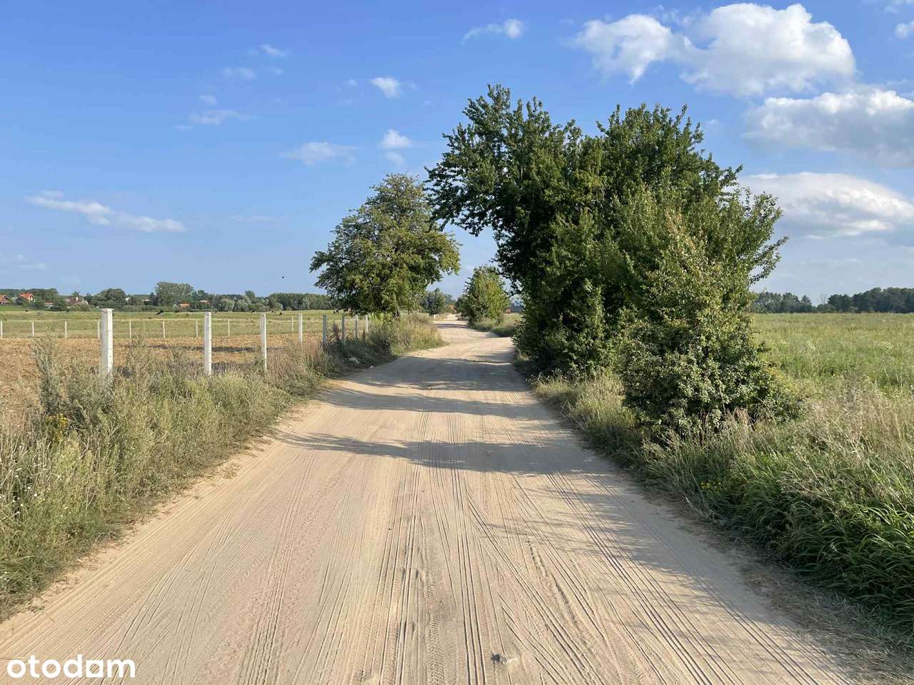 Działka na sprzedaż Zdory powiat piski - Pełny obrazek: 5/9