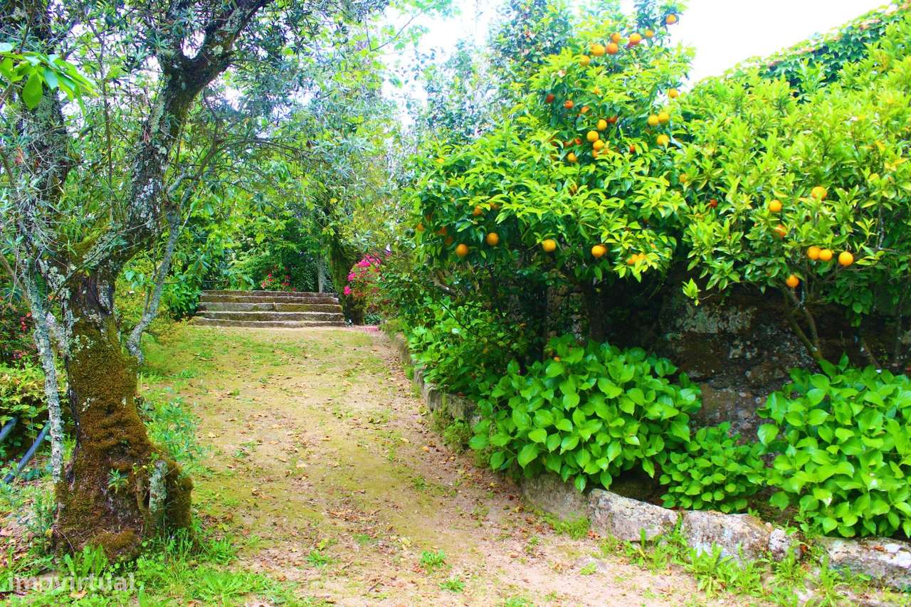 Solar do sec. XVII em Mesquitela, Mangualde-15