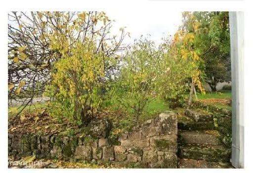 Moradia t8 em Peraboa-15