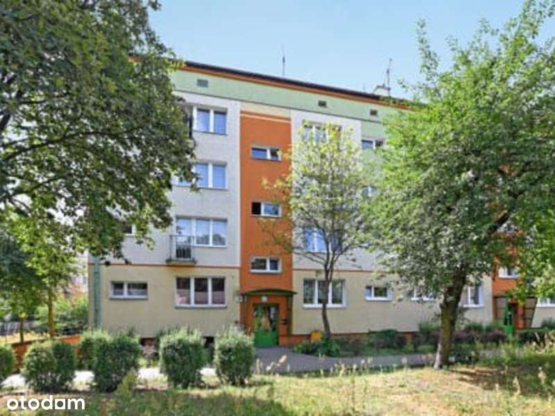 |Mieszkanie Bielawy|2 pokoje|Przy Juraszu|Umeblowane|Komunikacja|
