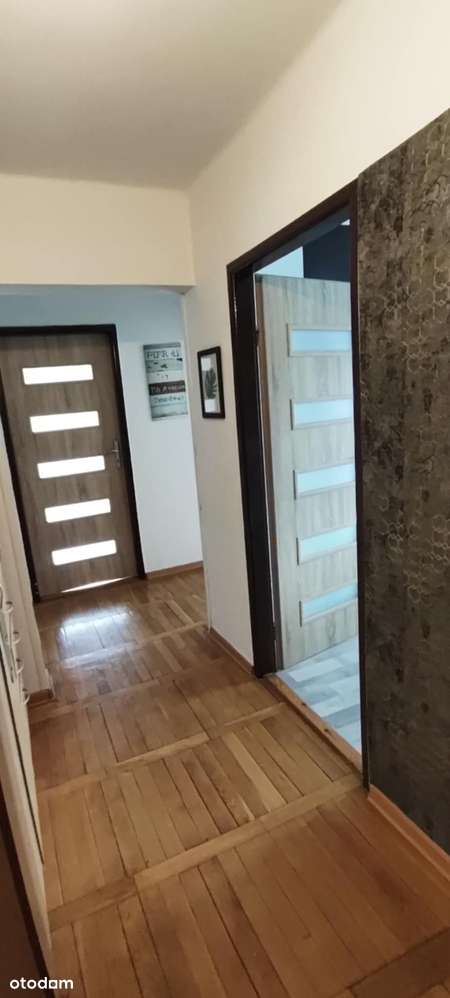 Duże, ustawne trzy pokoje w centrum miasta-13