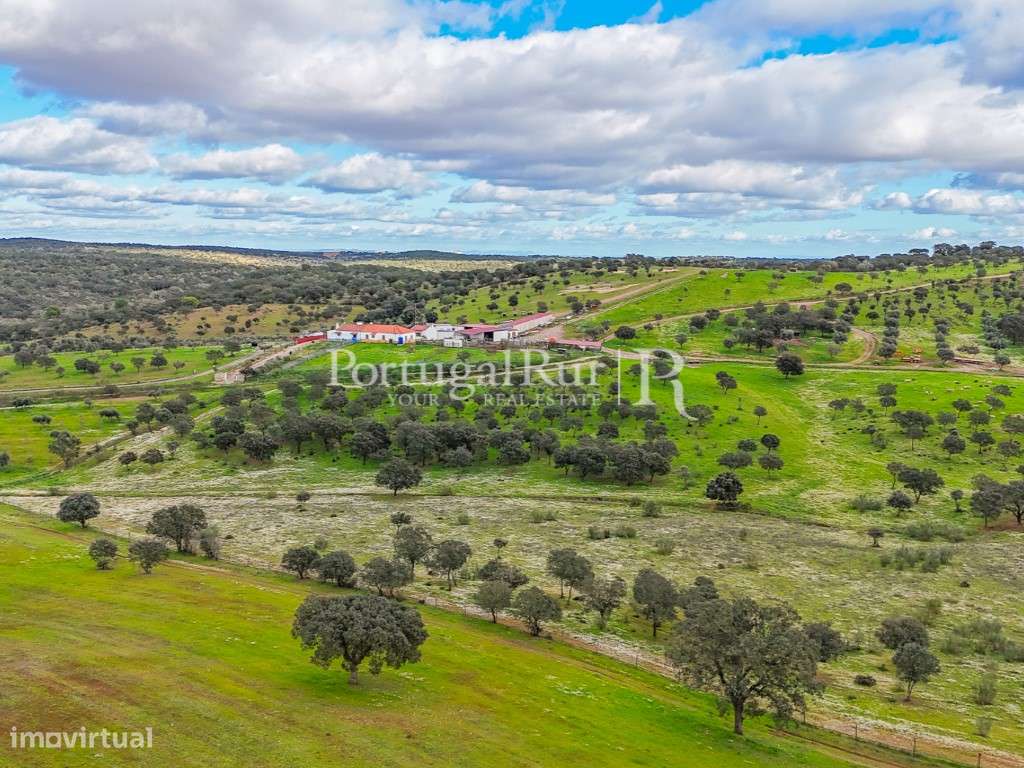 Herdade de 62 ha em Vendinha, Évora - Grande imagem: 5/47