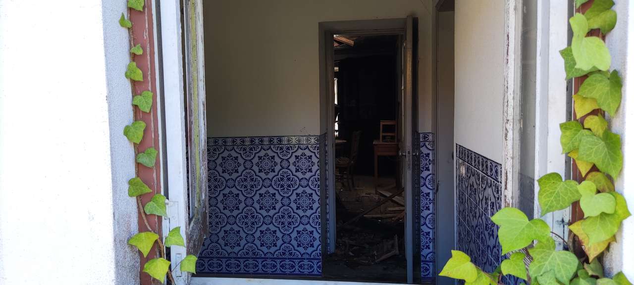 "Quintinha" de 5.100 m² na Moita Poço - Turquel-5