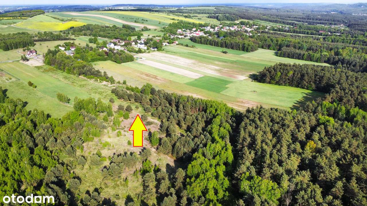 BEZ PCC 2% !! Tuż przy lesie! Podzielone! Objęte MPZP! BUDOWLANE !! - Pełny obrazek: 5/10