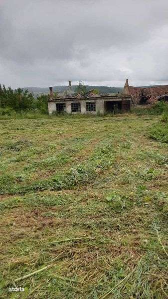 Teren de vanzare intravilan situat in Saschiz la drumul E60,5,5 € mp. - Imagine principală: 5/7