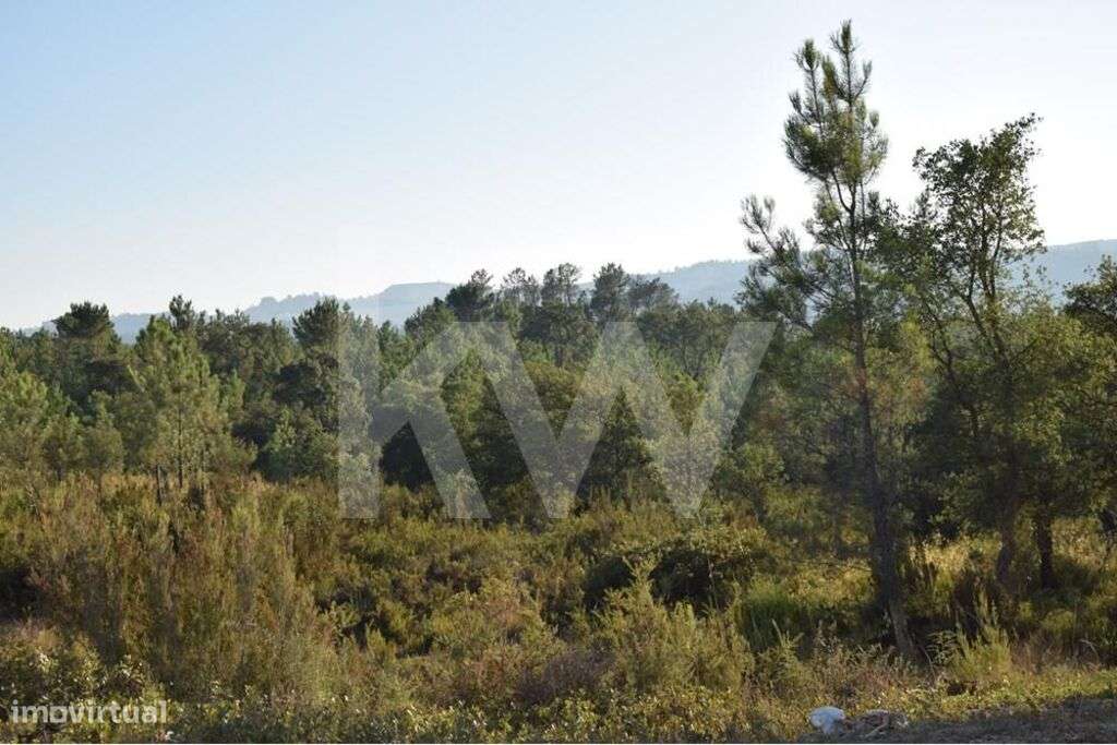 Lote de Terreno Rústico com Cerca de 40 Hectares na Freguesia da Ota – - Grande imagem: 5/33