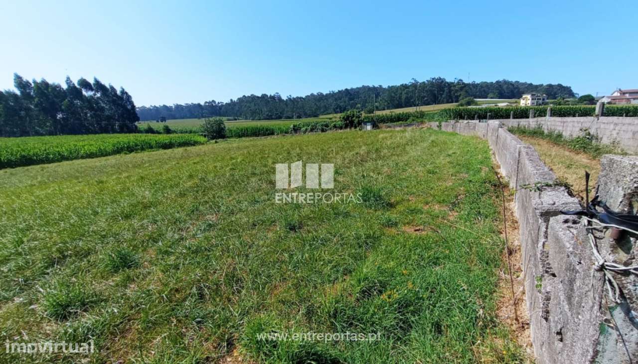 Venda de Terreno agrícola com 4187m2, Laúndos, Póvoa de Varzim - Grande imagem: 3/8