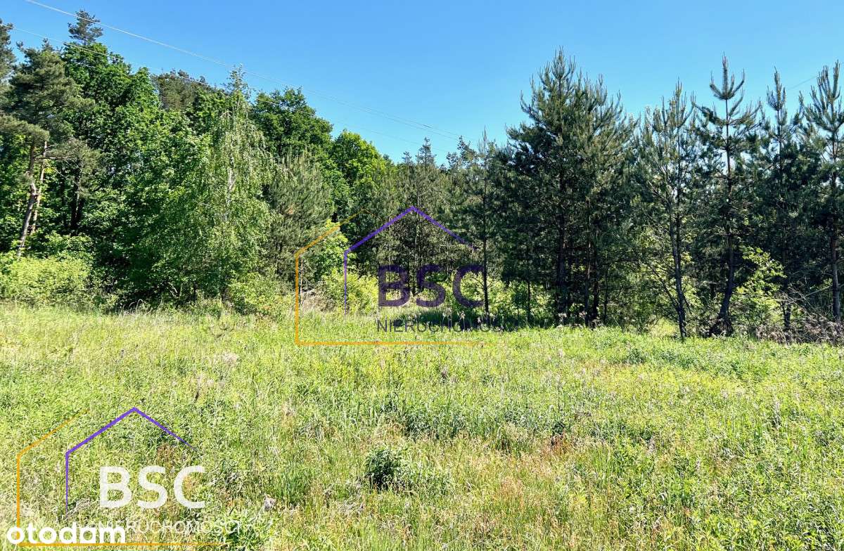 Duża i tania działka w gminie Serock - Pełny obrazek: 4/9
