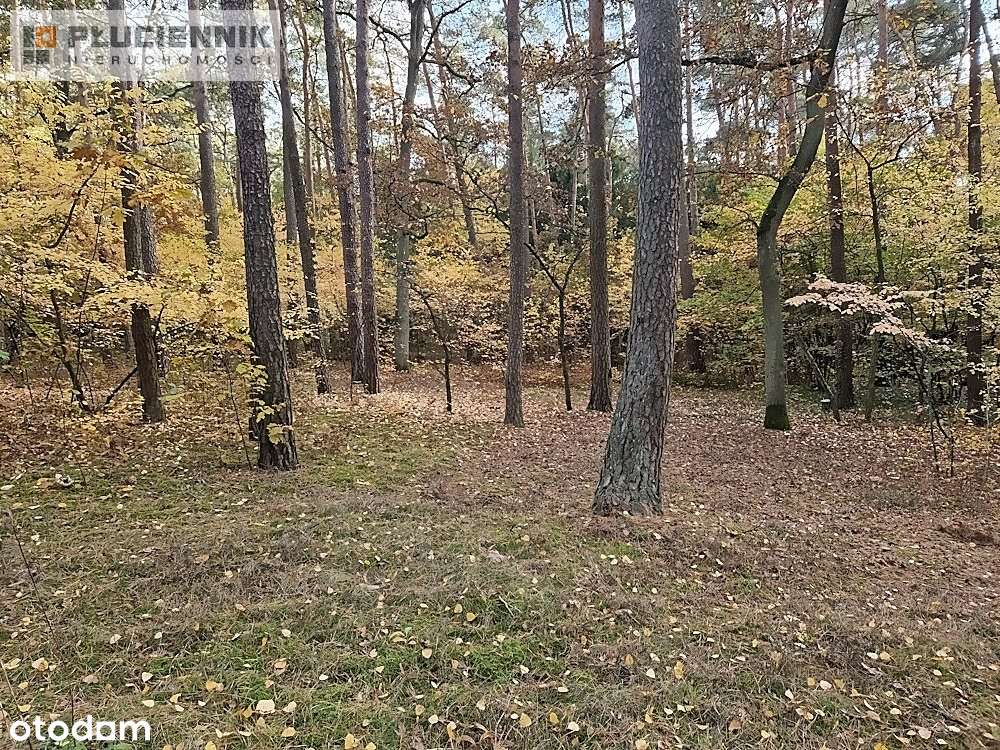 Sokolniki Las, działka na sprzedaż - Pełny obrazek: 5/7