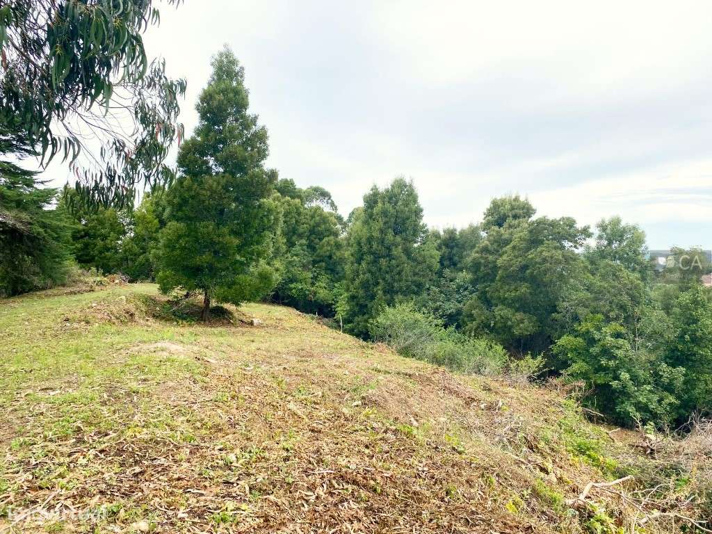 Terreno destinado a construção com 8.385m², situado no centro da vi... - Grande imagem: 5/12