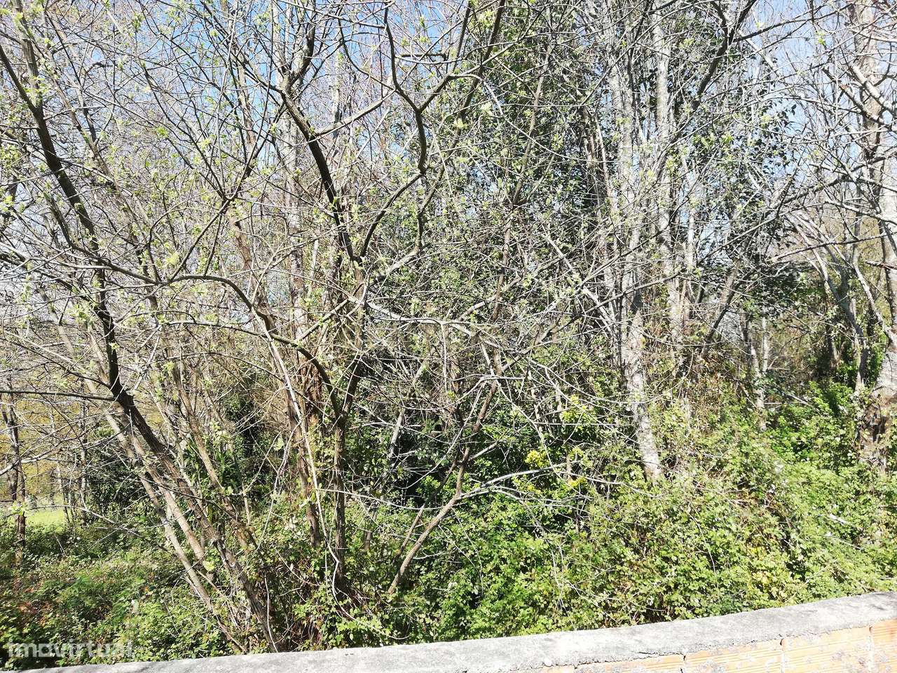 Terreno para construção em Valença (S. Julião) - Grande imagem: 4/10