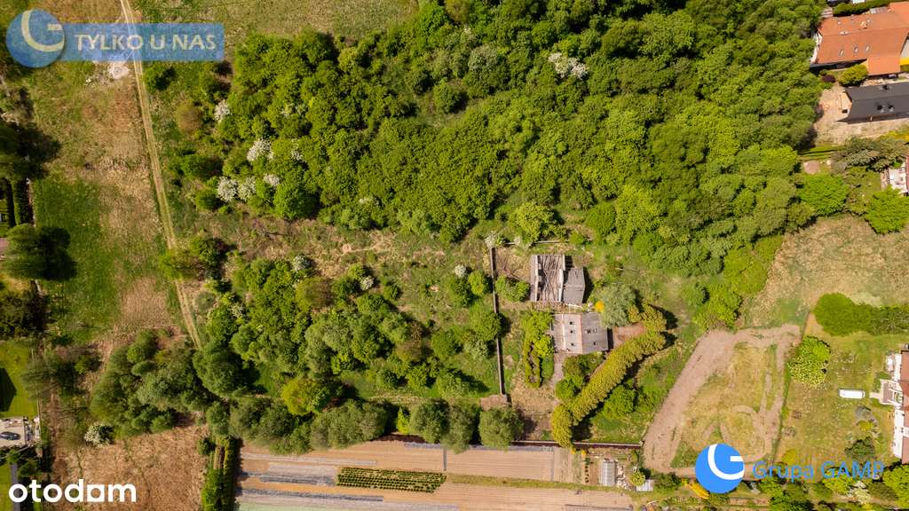 92ar w tym 48ar bud. jednorodzinne *Opatkowice* - Pełny obrazek: 5/13