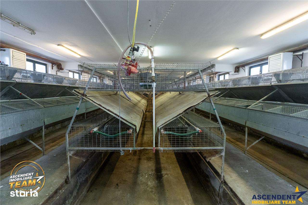 FILM! Ferma de iepuri,Malnas,Covasna: domeniu industrialcomercial,asse - Imagine principală: 5/20