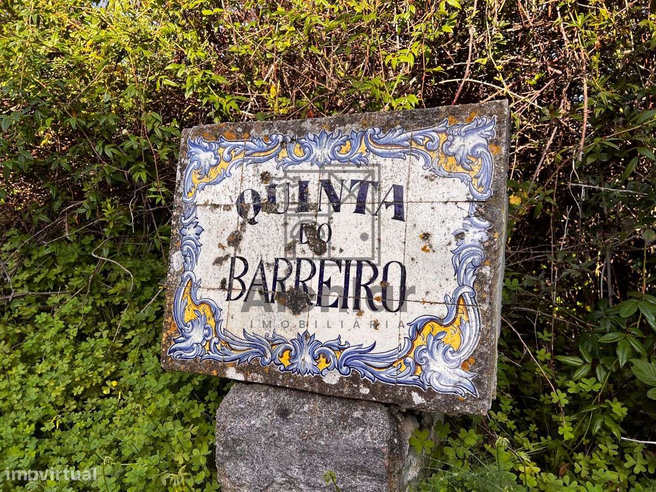 Oportunidade Única de Investimento Agrícola em Alenquer - Grande imagem: 4/15