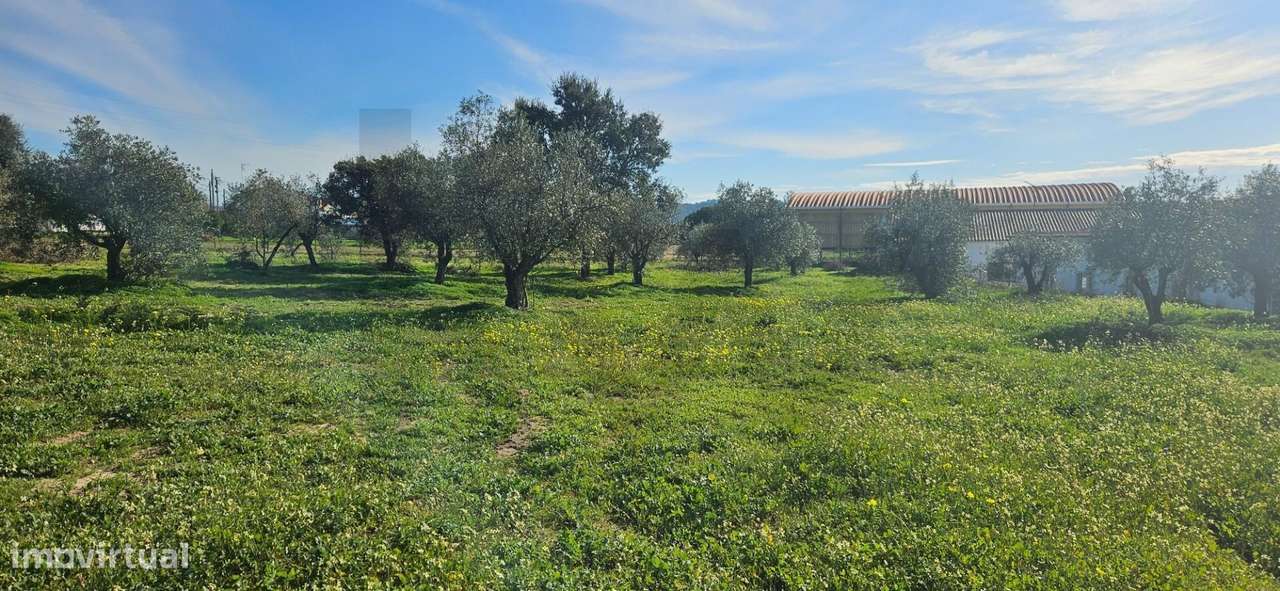 Desenvolvimento Premium: 1,2 Hectares urbanos no Centro de Melides - Grande imagem: 5/24