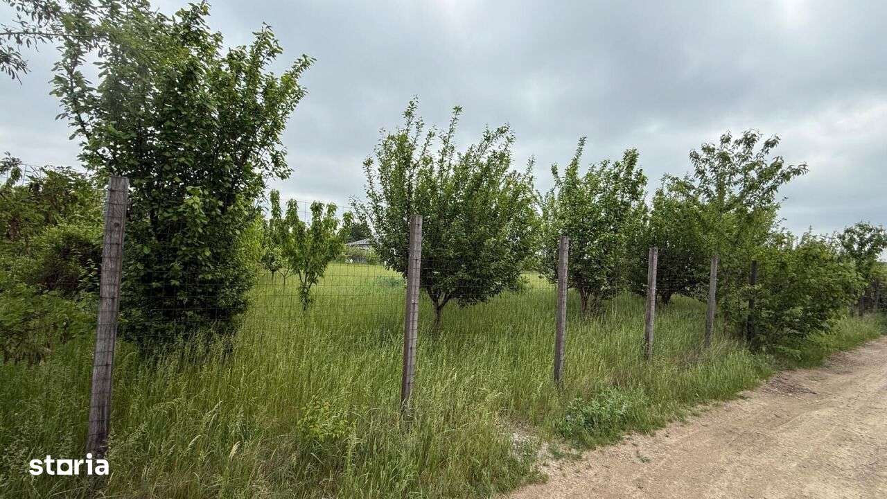 TEREN PENTRU CONSTRUCTIA CASEI, MIROSLAVA, VALEA URSULUI-2