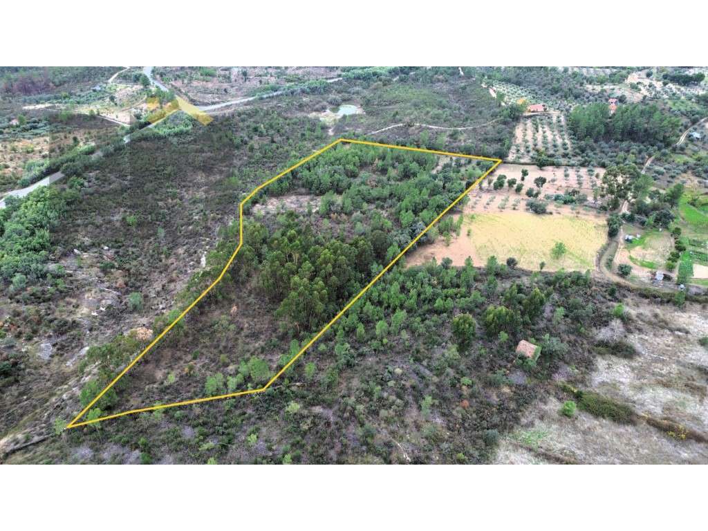 Quinta com 18.000m2 para venda em Freixial do Campo! - Grande imagem: 2/16