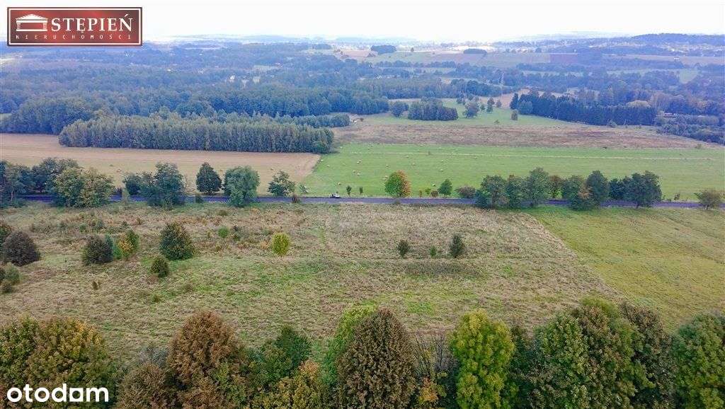 Działka, 8 200 m², Przecznica - Pełny obrazek: 4/11