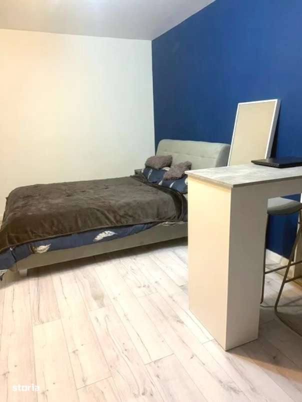 Apartament 1 camera, decomandat, etaj intermediar, mobilat, Alexandru-1