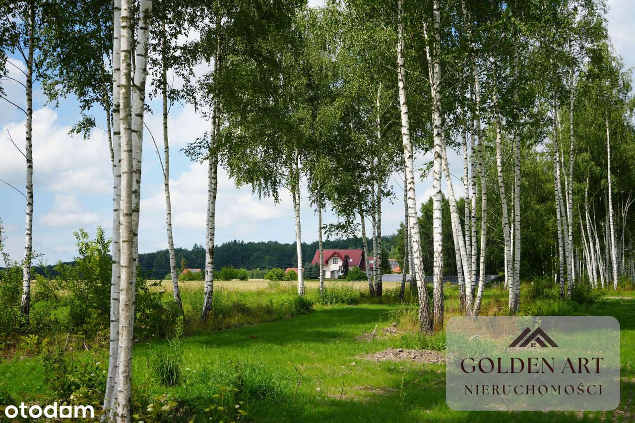 Działka na sprzedaż: Gmina Pasłęk | 5306 m² | WZ | Oczko wodne-5