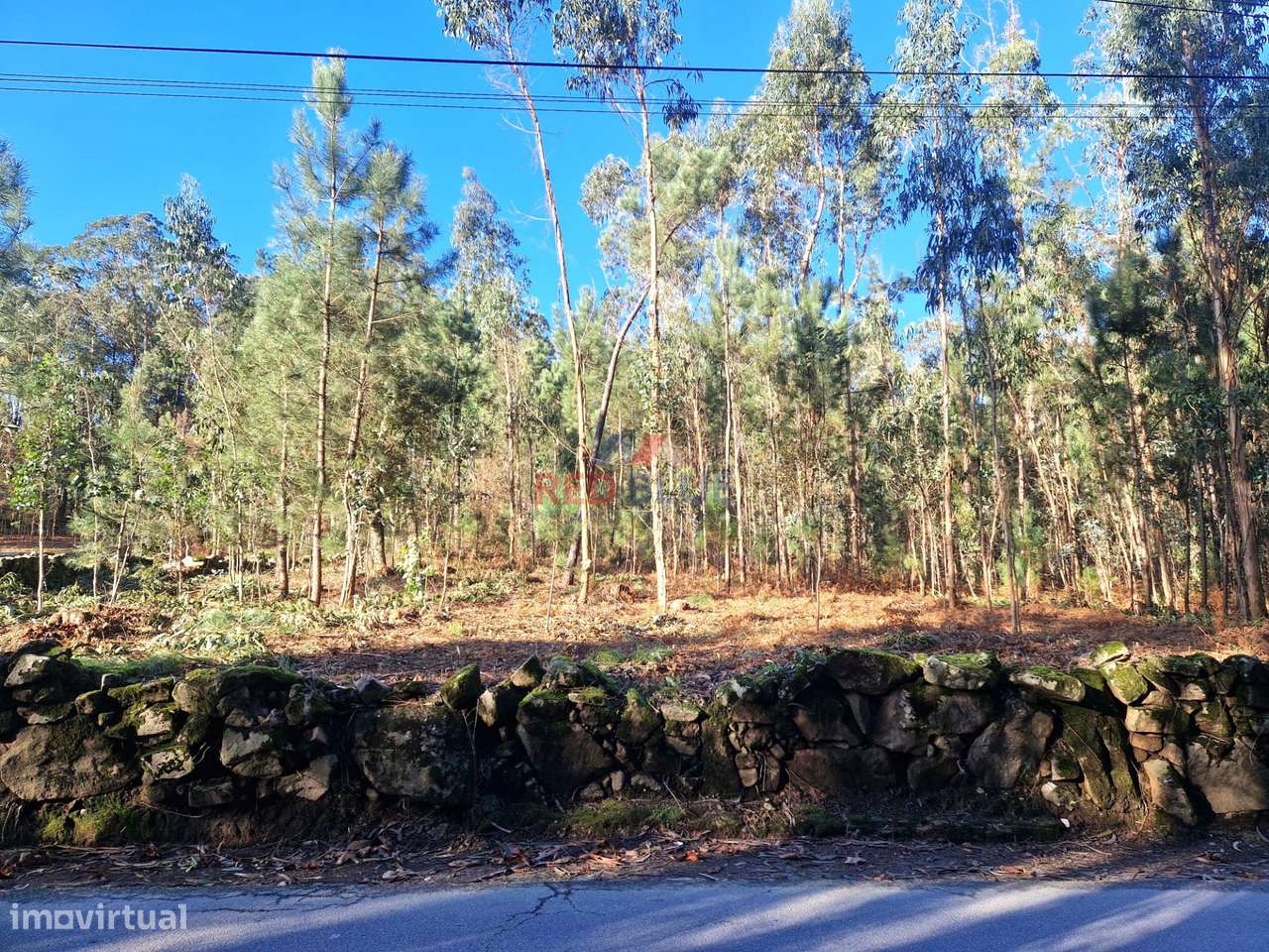 Terreno Para Construção  Venda em Negreiros e Chavão,Barcelos - Grande imagem: 5/12