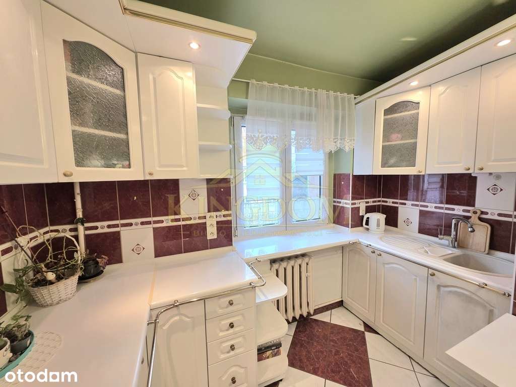 Mieszkanie rozkładowe 2 pokoje + ogródek-0