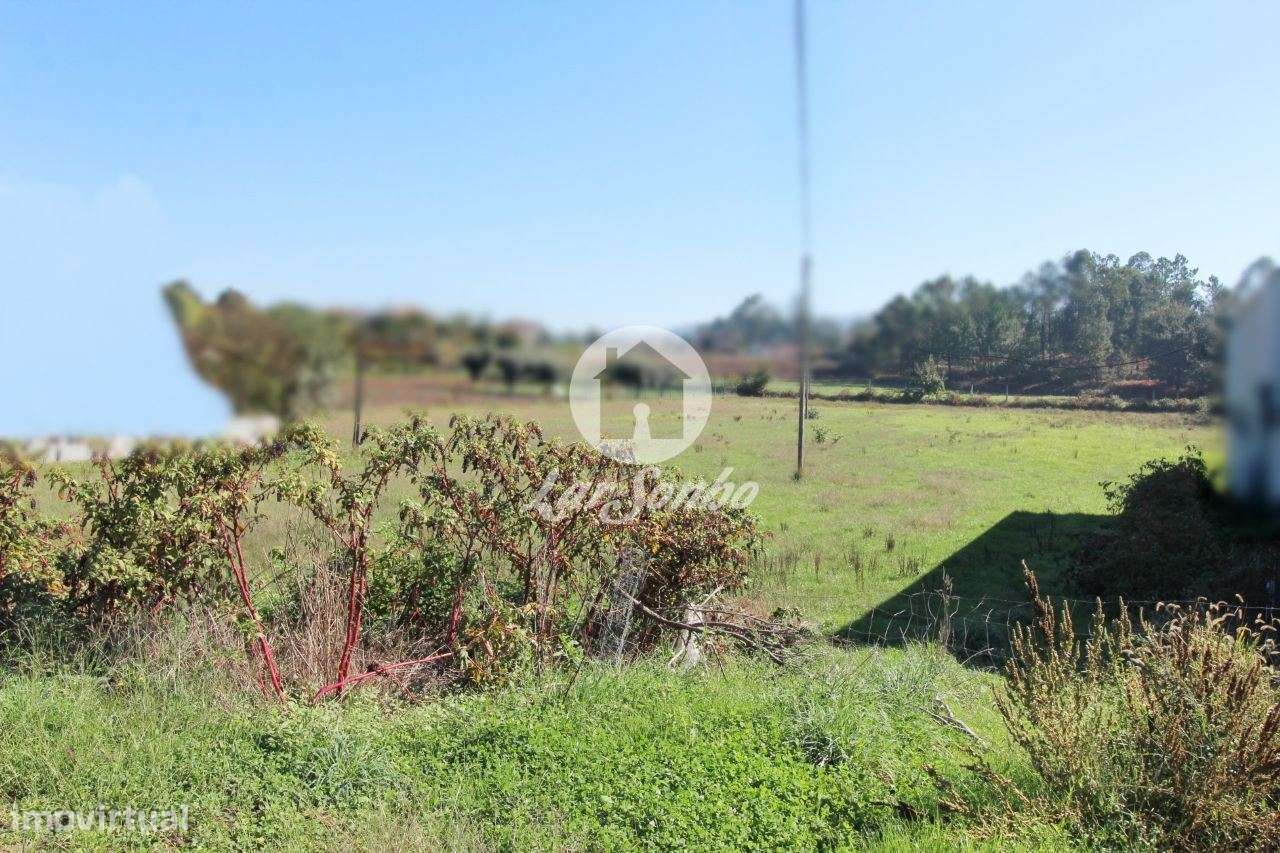 Terreno plano com 6500m2 - Grande imagem: 2/27