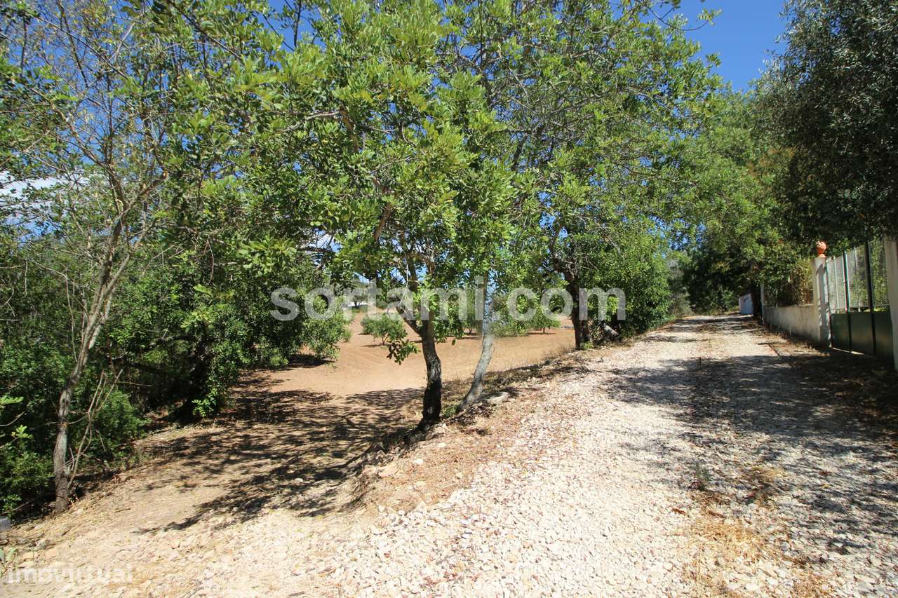 Terreno Rústico  Venda em Santa Bárbara de Nexe,Faro - Grande imagem: 5/5