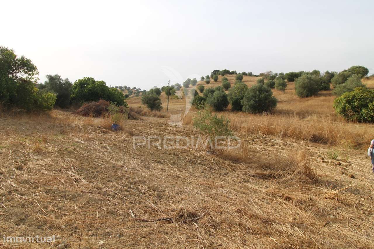 Terreno Misto - Pousados, Alcanena - Grande imagem: 5/16